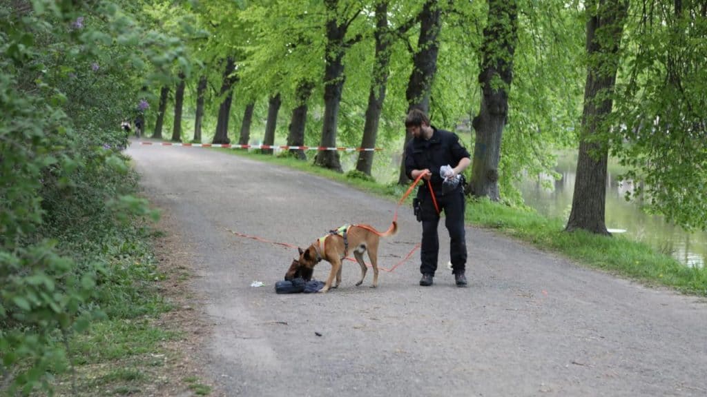 Происшествия: В парке Лейпцига женщина стала жертвой ножевой атаки