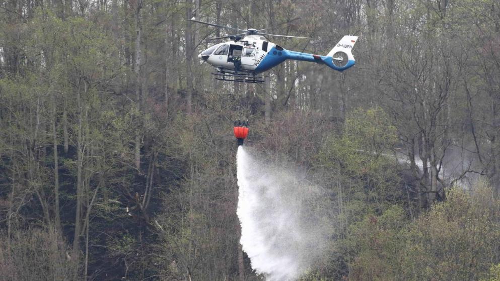 Происшествия: В Германии горят леса: с огнем борются сразу несколько федеральных земель