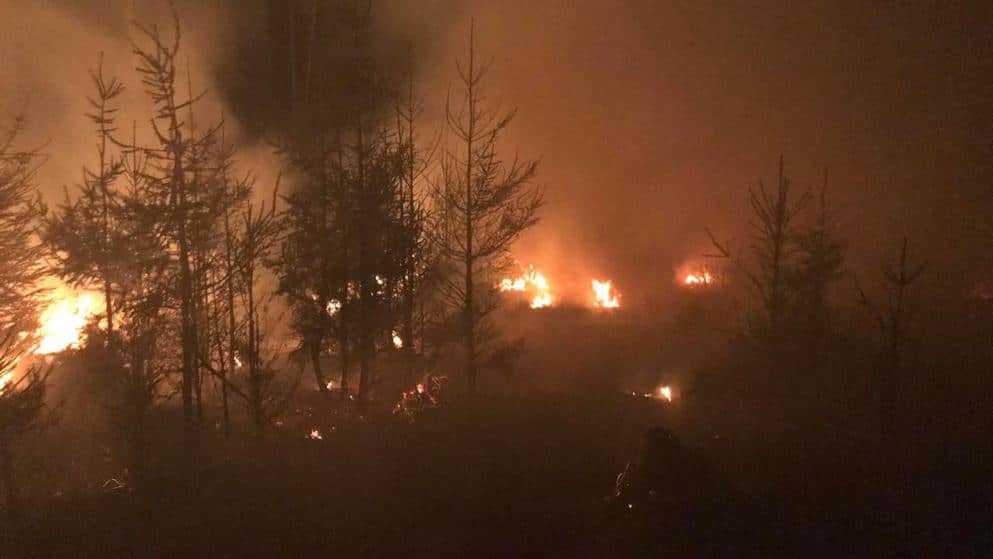 Происшествия: В Германии горят леса: с огнем борются сразу несколько федеральных земель рис 2