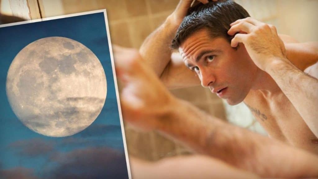 Отовсюду обо всем: Влияет ли полнолуние на рост волос и другие мифы о Луне