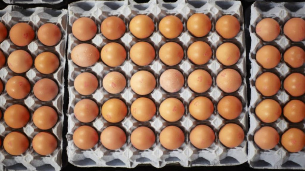 Здоровье: Сколько яиц в неделю можно есть?
