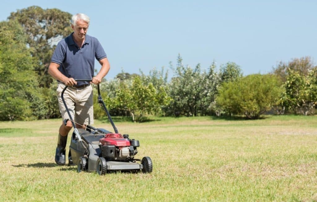 Полезные советы: Разрешается ли стричь газон в праздничные дни