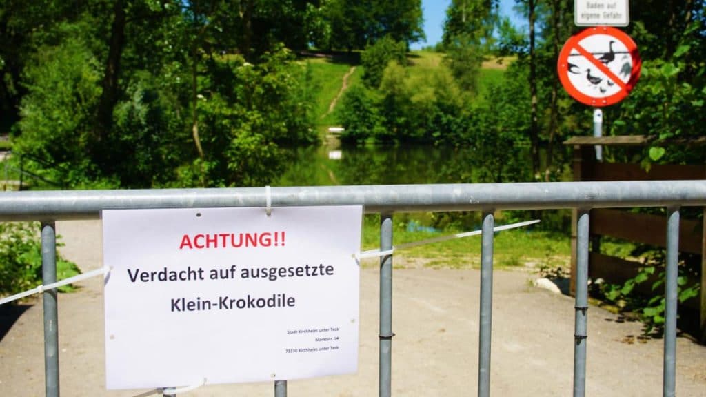 Происшествия: В Баден-Вюртемберге завелись крокодилы: жителей близлежащих городов просят быть осторожными