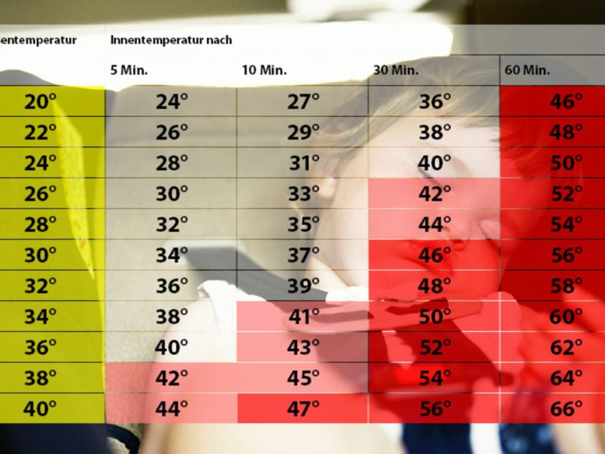 Как быстро поднимается температура в запертой машине летом