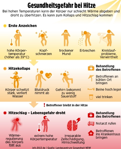 Происшествия: В Германии из-за жары умирают тысячи людей