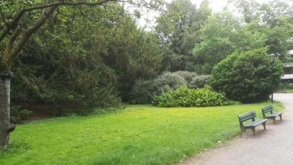 Происшествия: Дюссельдорф: в парке несколько мужчин изнасиловали 51-летнюю