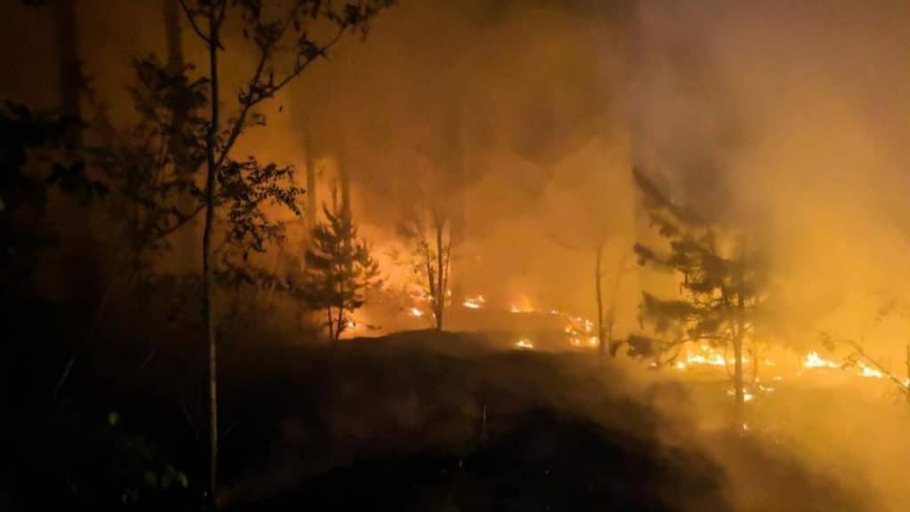 Происшествия: В Германии продолжаются лесные пожары, поражены огромные площади