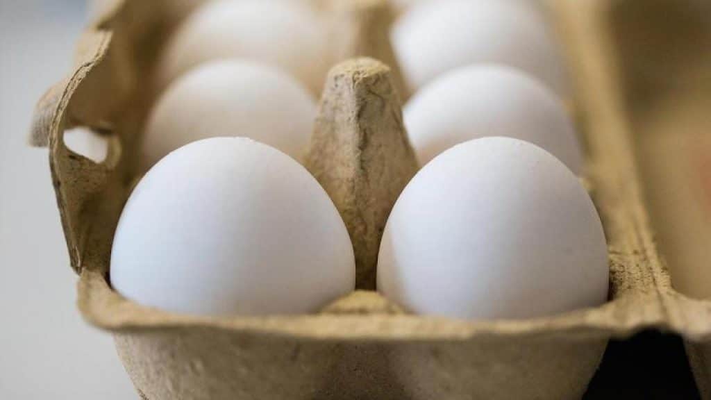 Домашние хитрости: Как сохранить сырые яйца свежими в течение 10 месяцев