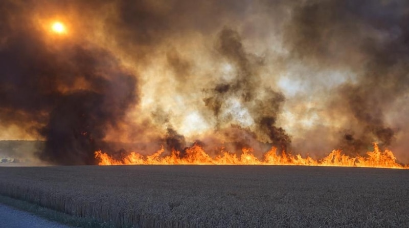 Общество: Пожарный ушел с собственного юбилея, чтобы спасти родную деревню от огня