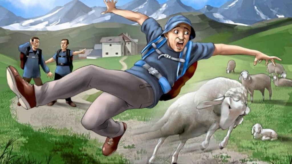 Происшествия: Нападение овцы закончился для немецкого туриста на больничной койке