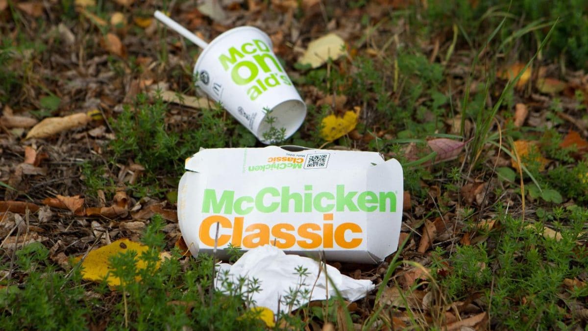 Общество: An Ausfahrten schmeiÃen die meisten Menschen MÃ¼ll in die Natur, Fast-Food-Verpackungen, wie hier in Sachsen, verschmutzen die Umwelt