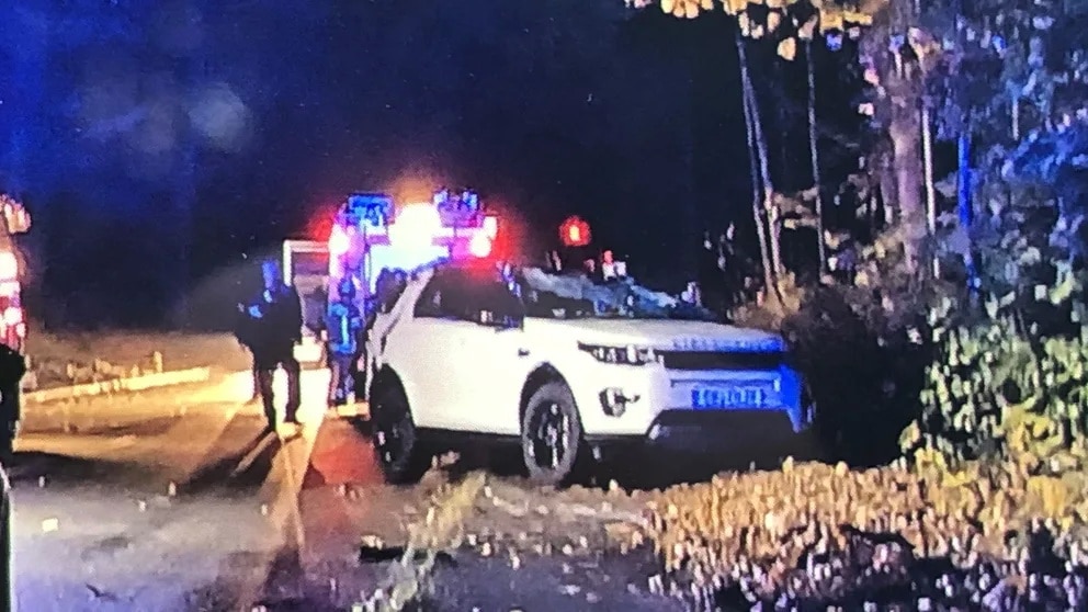 Происшествия: В Берлине на автомобиль упало 100-летнее дерево: водитель погиб