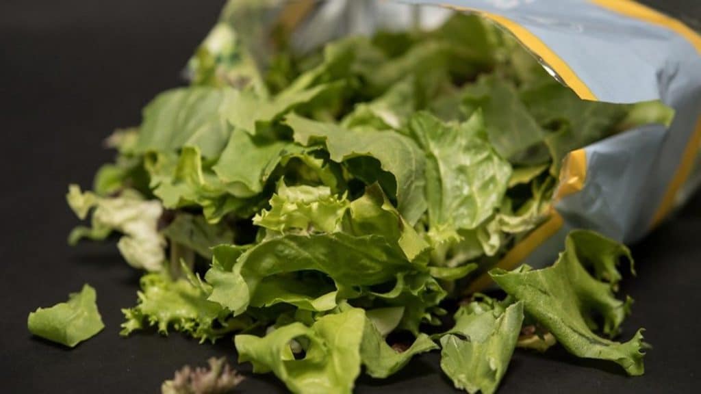 Общество: Дискаунтеры снимают с продажи готовые салаты из-за опасности заражения листериями