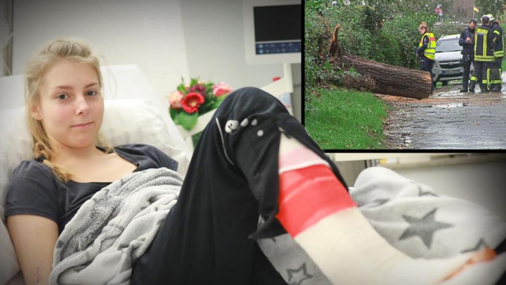 Происшествия: Огромный дуб заживо похоронил 17-летню девочку в Дуйсбурге