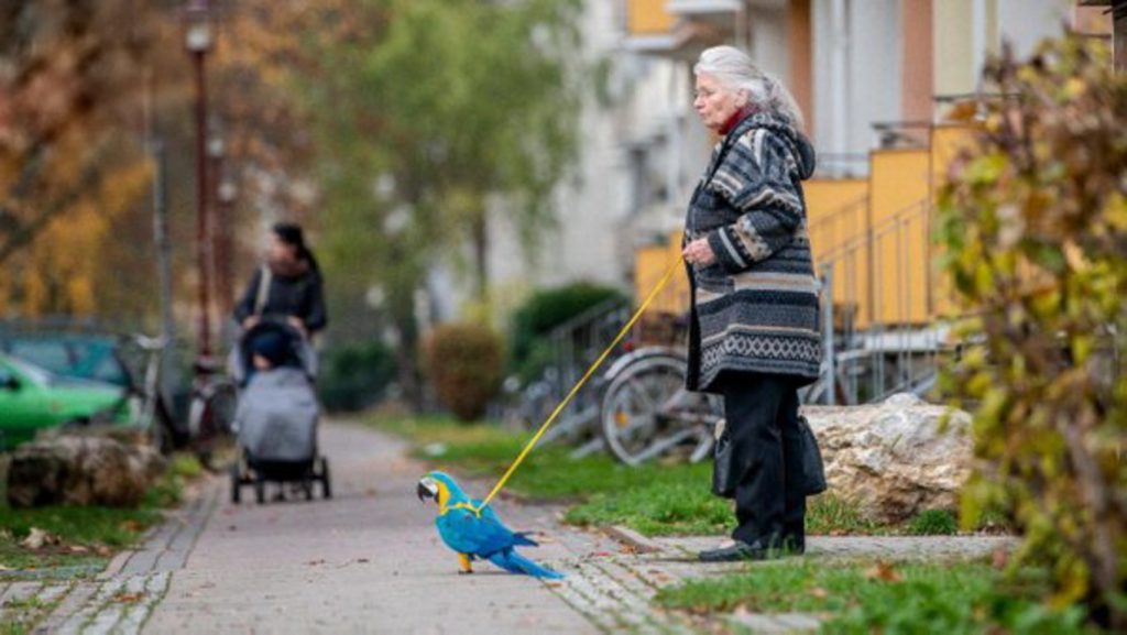 Общество: В Тюрингии бабушка Хильде каждый день выгуливает на поводке необычного питомца