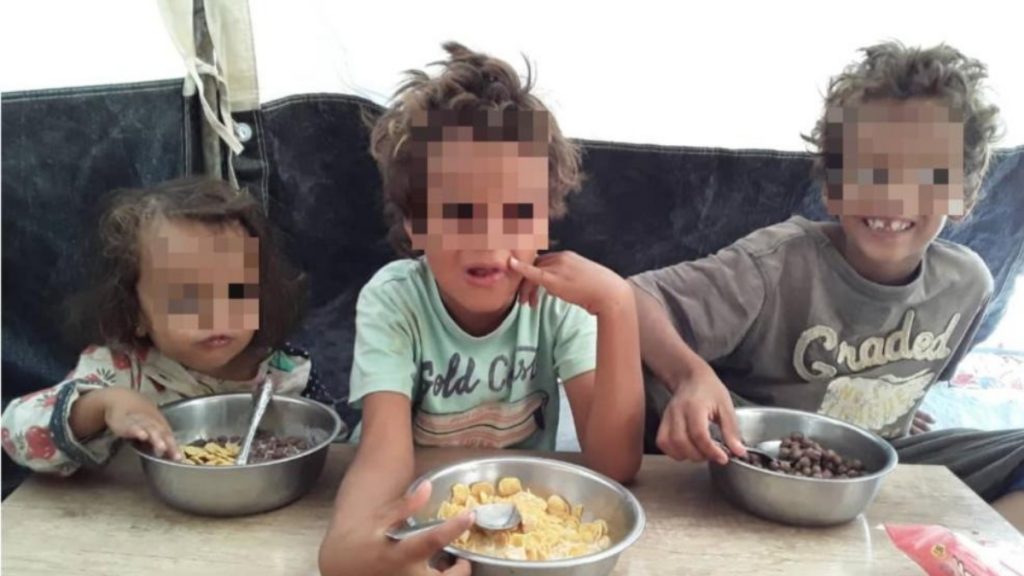 Общество: В Германию со своими тремя детьми вернулась немка-сторонница ИГ