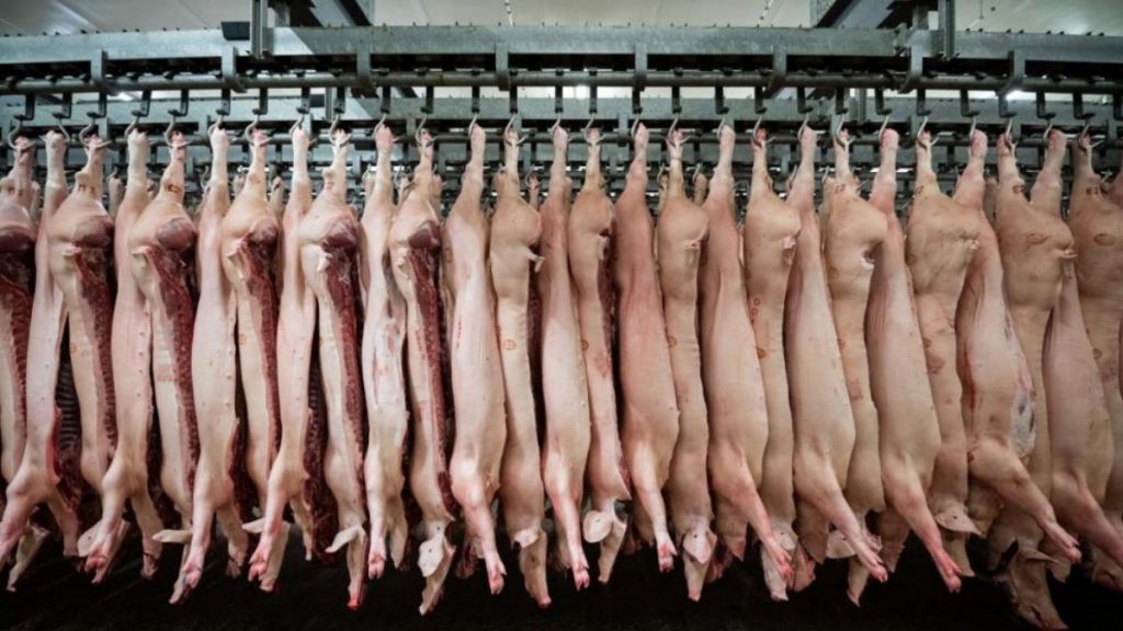 Общество: Почему в Германии существенно подорожает мясо, и как Китай связан с этим?
