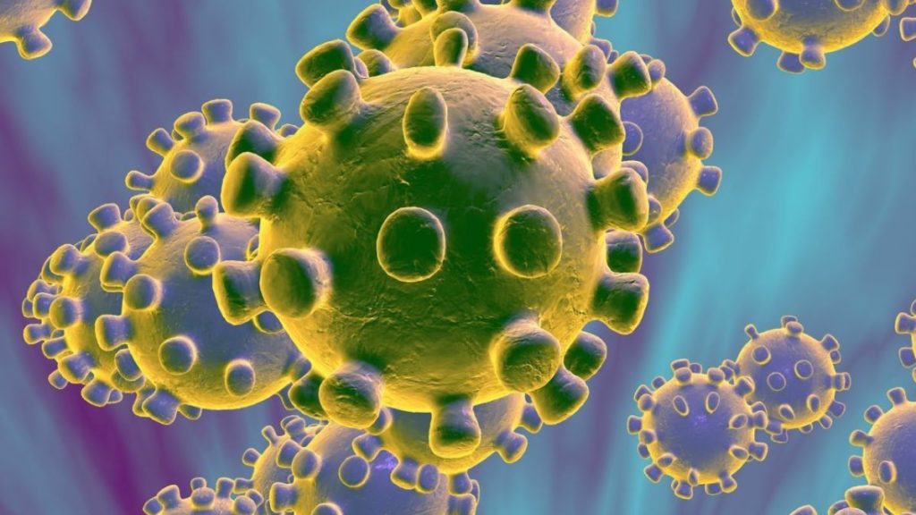 Отовсюду обо всем: Что мы на сегодня реально знаем о китайском коронавирусе?