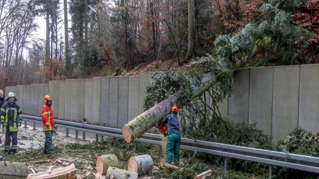 Погода: Вследствие непогоды в Германии погиб один человек, еще несколько пострадало