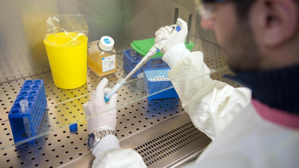 Общество: Немцы начнут тестировать вакцину от коронавируса уже в июне