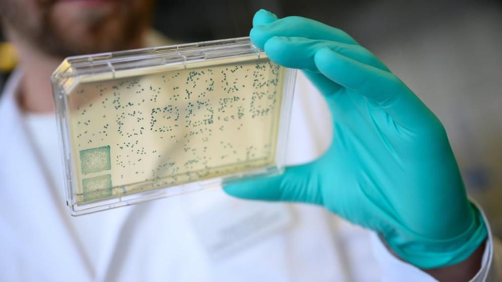Общество: Количество инфицированных коронавирусом в Германии превысило 10 000 человек
