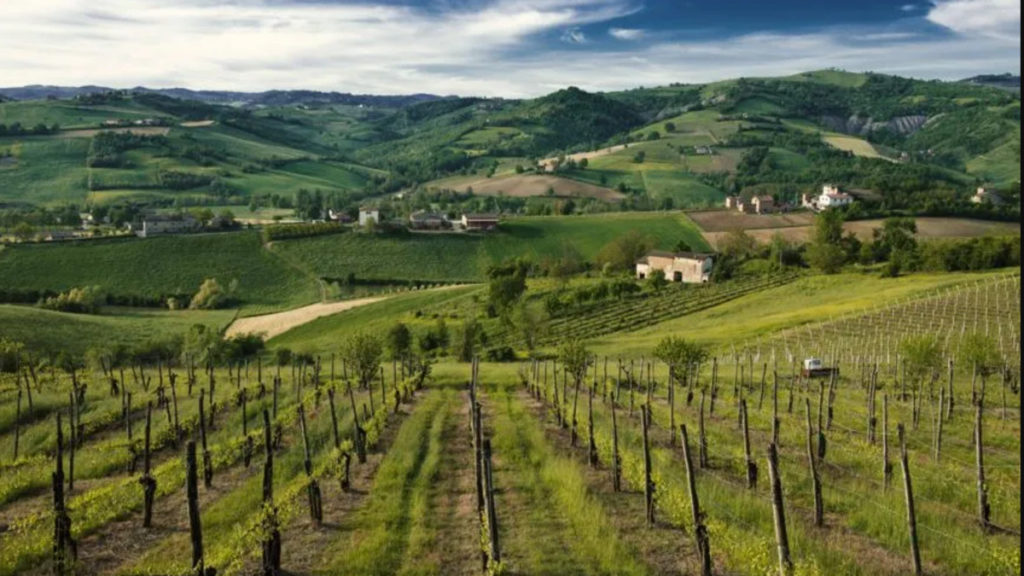 Отовсюду обо всем: Вместо воды: в итальянском поселке из кранов потекло красное вино