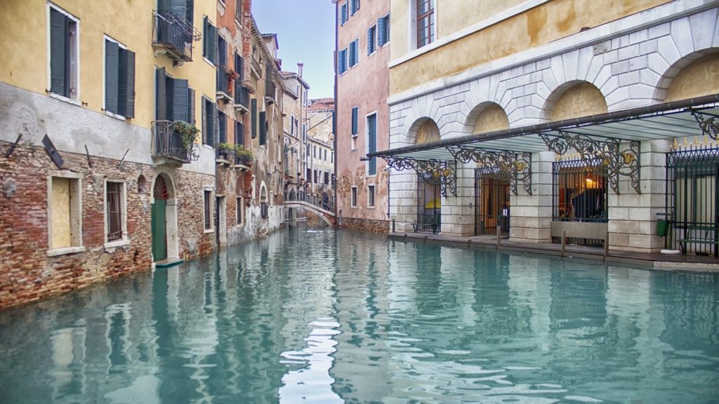 Отовсюду обо всем: Результаты карантина в Италии: чистая вода в каналах и дельфины в портах