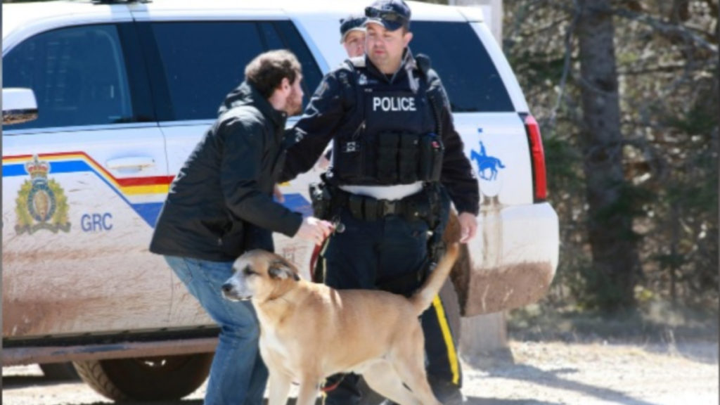 Отовсюду обо всем: Канадский стрелок убил по меньшей мере 17 человек