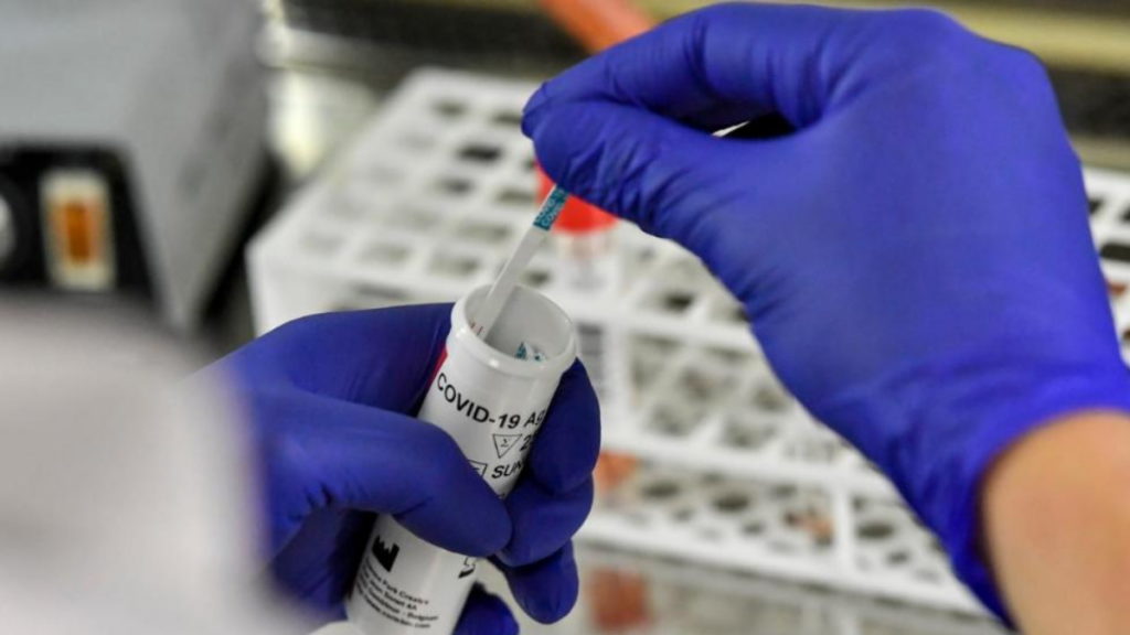 Общество: Новое исследование Стэнфордского университета: коронавирус не опаснее гриппа?