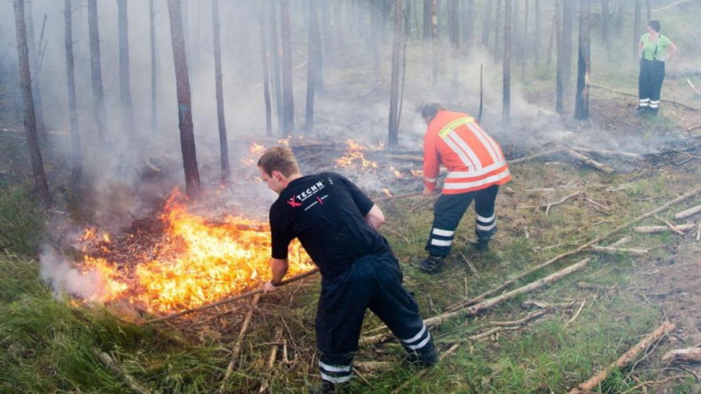 Общество: Лесные пожары и проблемы с урожаем: метеорологи сообщают, что Германию ждет очередная засуха