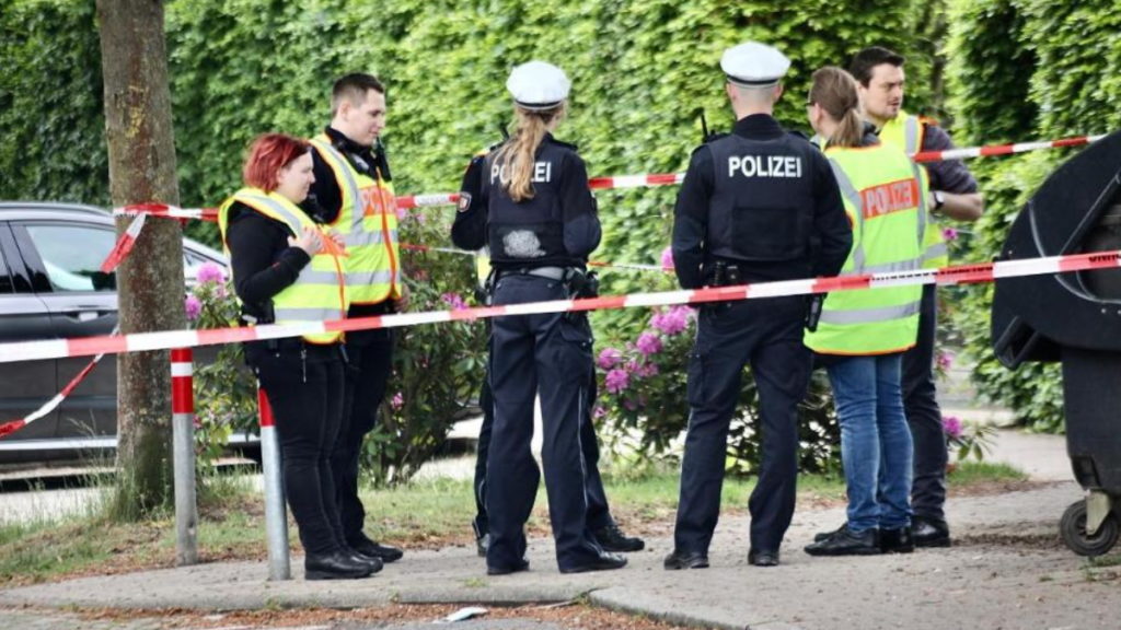 Происшествия: Шлезвиг-Гольштейн: женщина родила ребенка посреди улицы и бросила его в кустах