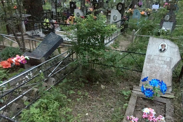 Мировая пресса: В Тверской области 14-летняя девочка с парнем разгромили кладбище, повалив 60 надгробий