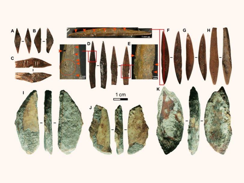 Мировая пресса: Костяным наконечникам стрел из пещеры на Шри-Ланке 48 000 лет
