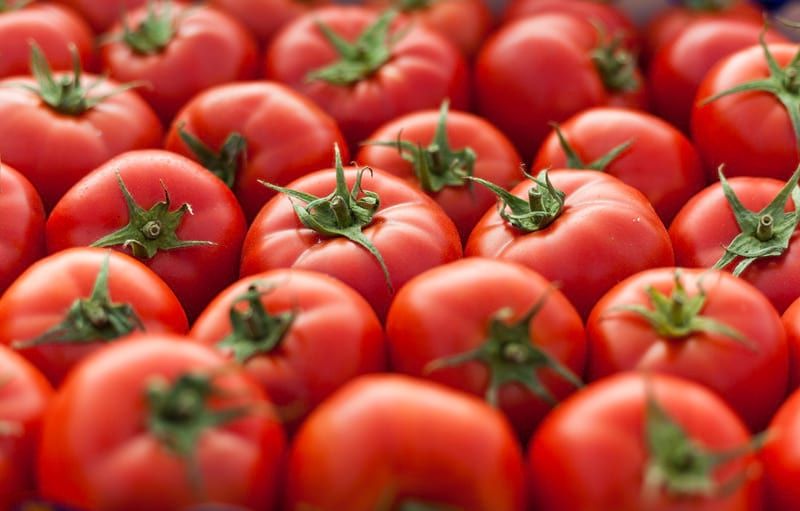 Мировая пресса: Из томатной ботвы научились производить дешевую эко-упаковку - Cursorinfo: главные новости Израиля