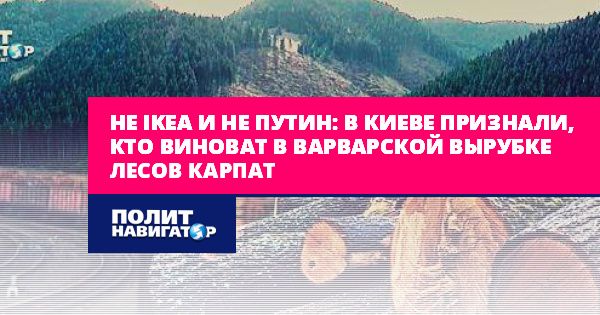 Мировая пресса: Не IKEA и не Путин: В Киеве признали, кто виноват в варварской...