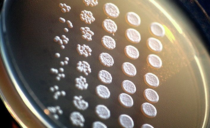 Мировая пресса: Nature (Великобритания): редактирование гена эмбриона человека с помощью метода CRISPR приводит к крупномасштабному беспорядку в хромосомах