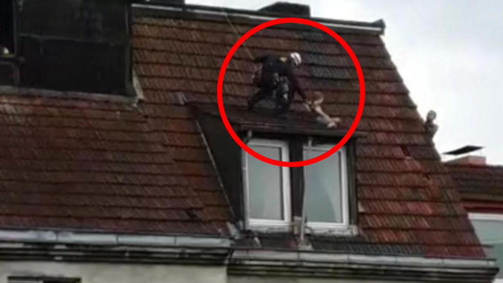 Происшествия: Опасное приключение: в Эссене ребенок вылез на крышу, желая стать Карлсоном