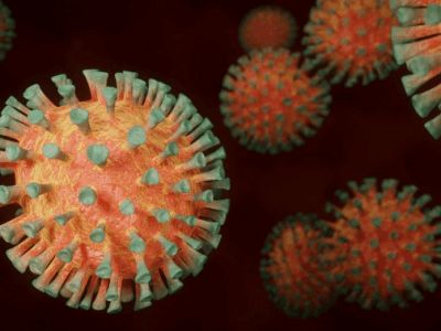 Мировая пресса: Немецкие ученые заявили, что переболевшие коронавирусом теряют антитела