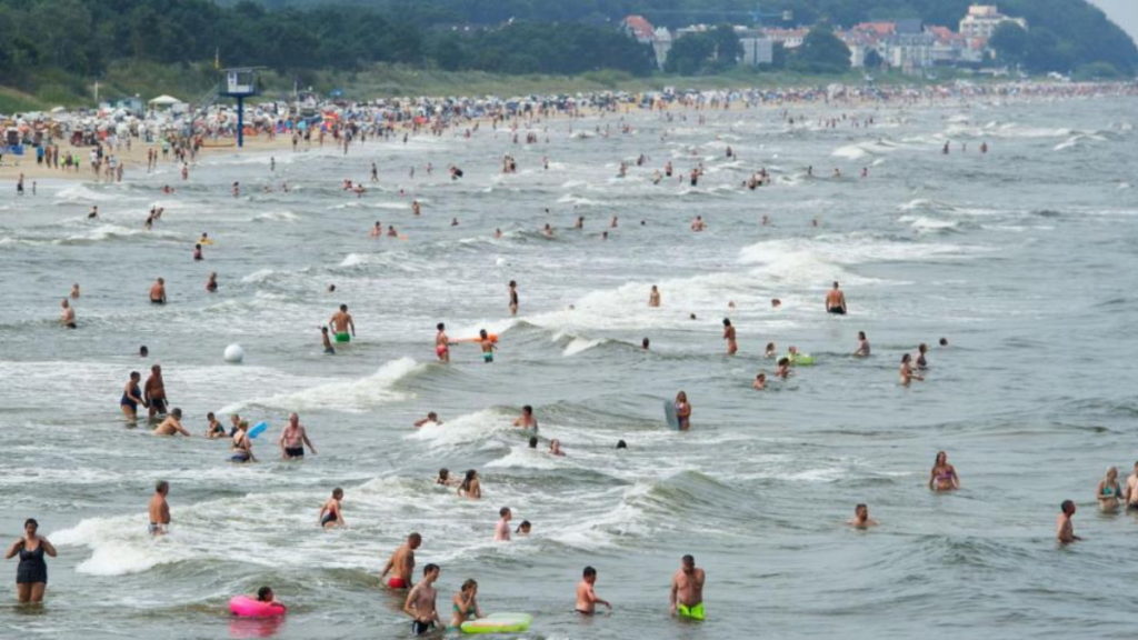 Здоровье: Опасный отдых на Балтийском море: как защититься от бактерий-убийц?