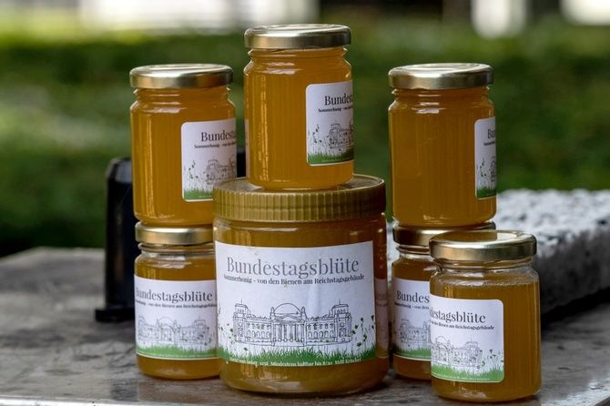 Мировая пресса: С оттенком Рейхстага: в Берлине собрали мед на парламентской пасеке