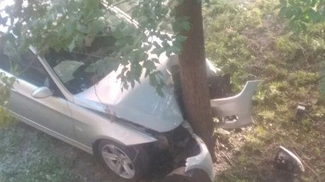 Мировая пресса: Соцсети: Пьяная девушка на BMW врезалась в дерево, отряхнулась и пошла