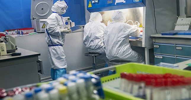 Мировая пресса: Немецкий вирусолог предложил изменить стратегию борьбы против коронавируса