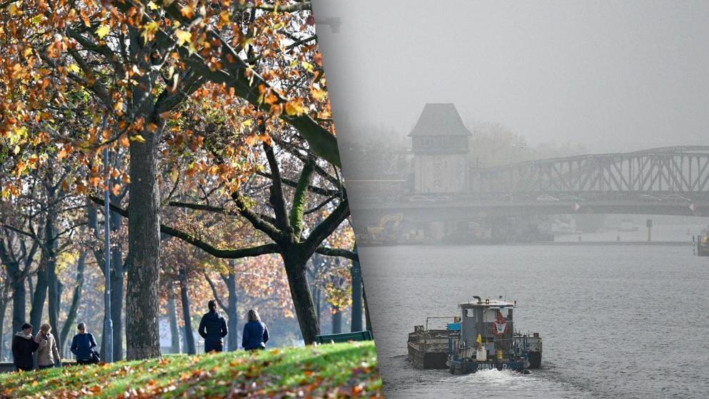 Погода: Необычный ноябрь: в Германии будет солнечно и тепло, как в начале осени