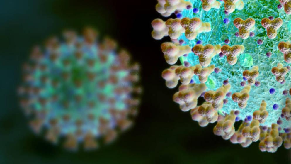 Здоровье: Крайне заразен: в Европе обнаружили еще один мутировавший штамм коронавируса