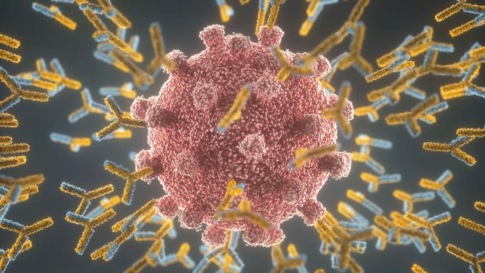 Общество: Не уверены, подействует ли вакцина: южноафриканская мутация коронавируса - самая опасная