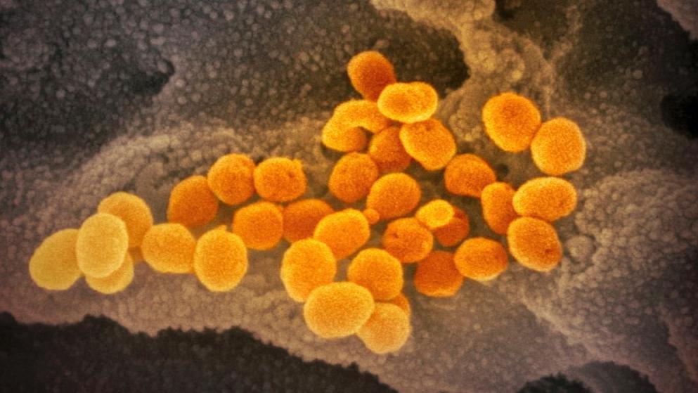 Общество: Мутация из Южной Африки: в Саксонии женщина заразила коронавирусом минимум восемь человек
