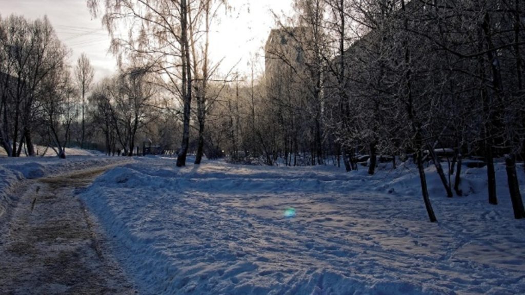 Отовсюду обо всем: В минус 15: россиянка оставила своих детей замерзать в лесу