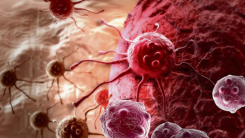 Общество: Удивительное открытие: коронавирус лечит больных раком пациентов