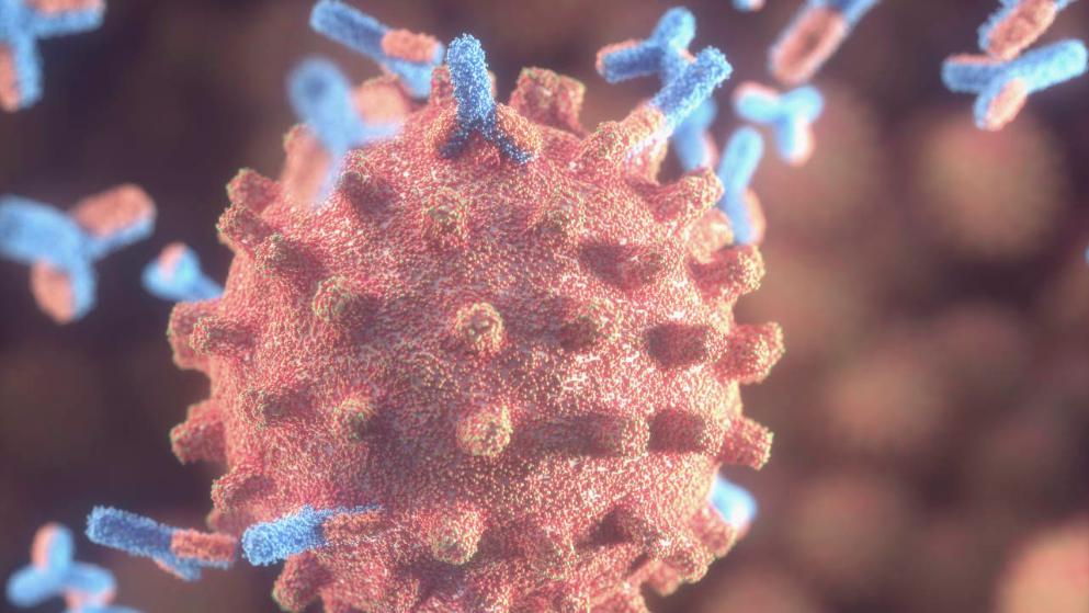 Общество: Те, кто переболел коронавирусом в легкой форме, получают «защиту» на всю жизнь