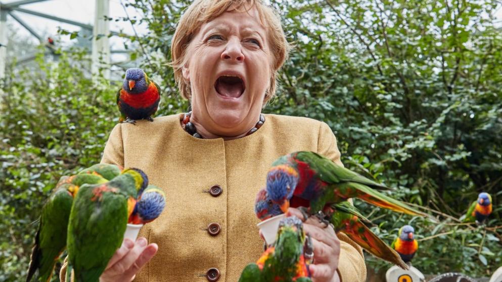Общество: Прощальный тур Меркель: канцлер решила повеселиться перед уходом
